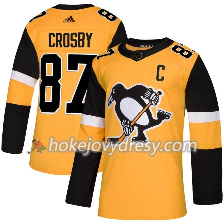 Pánské Hokejový Dres Pittsburgh Penguins Sidney Crosby 87 Alternate 2018-2019 Adidas Authentic
